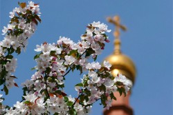 В Свято-Георгиевском храме Челябинска началась акция «Подари радость на Пасху»
