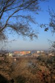 IMG_0225