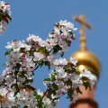 В Свято-Георгиевском храме Челябинска началась акция «Подари радость на Пасху»